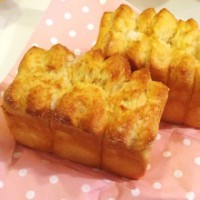 /album/%e3%83%95%e3%82%a9%e3%83%88%e3%82%ae%e3%83%a3%e3%83%a9%e3%83%aa%e3%83%bc/t02200220-0480048013138074742-jpg/